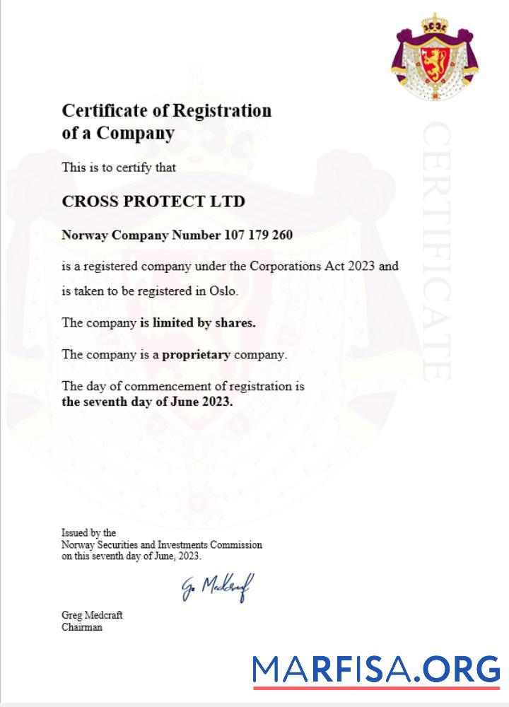 Realistic Norway business registration certificate Word and PDF template